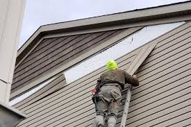 Best Siding Maintenance  in Aviston, IL